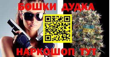 МДПВ Гай