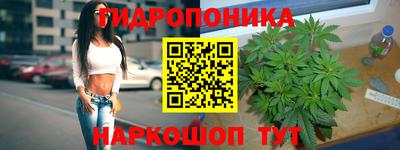 ПСИЛОЦИБИНОВЫЕ ГРИБЫ Гатчина