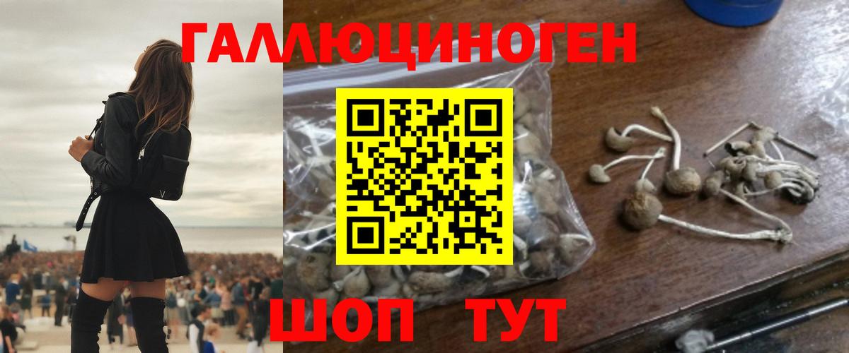 Галлюциногенные грибы Psilocybe  Псилоцибиновые грибы мухоморы  Воронеж  Вход с VPN 